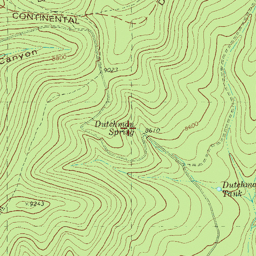 Topographic Map of Dutchman Spring, NM