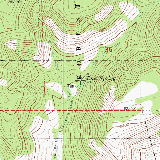 Topographic Map of Rael Spring, NM