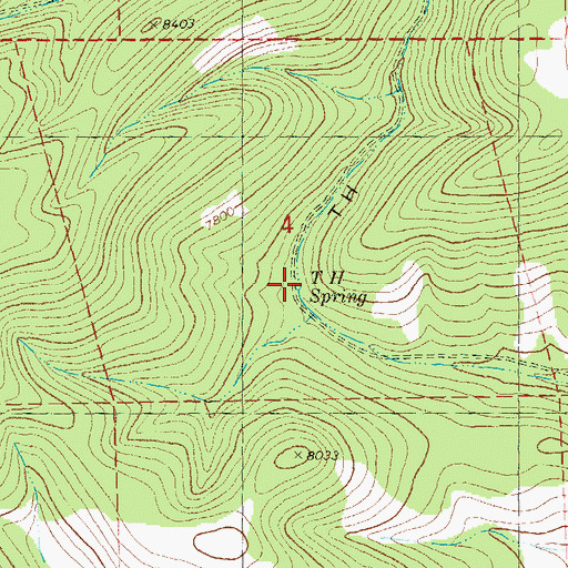 Topographic Map of T H Spring, NM