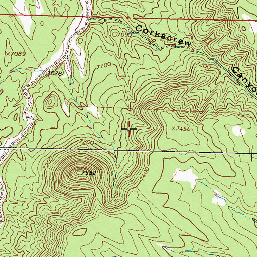 Topographic Map of Cibola National Forest, NM