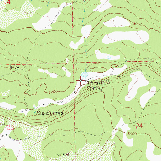 Topographic Map of Thrailkill Spring, CO