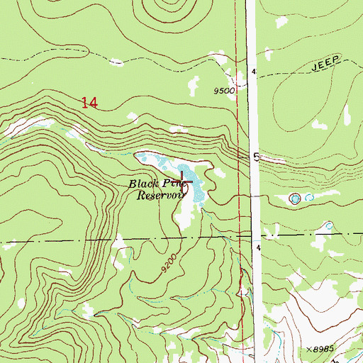 Topographic Map of Black Pine Reservoir, CO