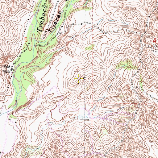 Topographic Map of Las Flores, CA