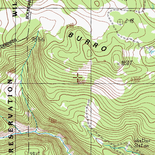 Topographic Map of Spruce Spring, AZ