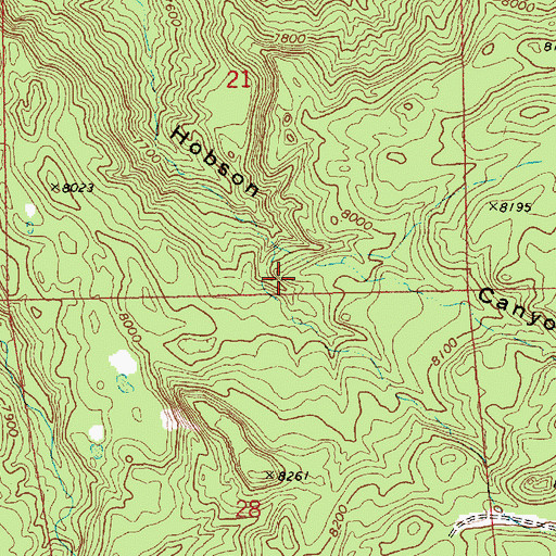 Topographic Map of Basin Spring, AZ