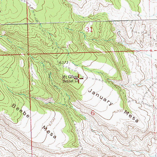 Topographic Map of Mountain Gilead Bethel Church, CO