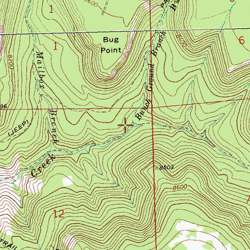 Topographic Map of Bunch Ground Branch Blue Creek, CO