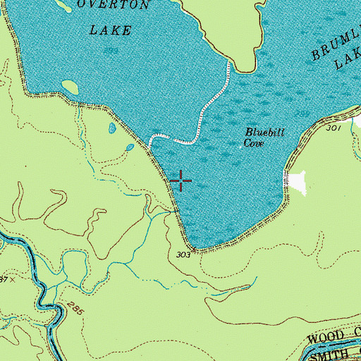 Topographic Map of Little Sandy Dam, TX