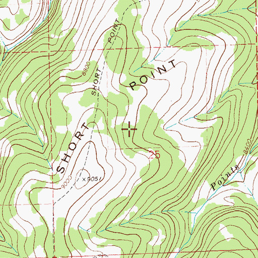 Topographic Map of Short Point, CO