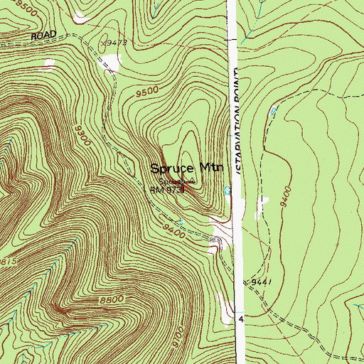 Topographic Map of Spruce Mountain, CO