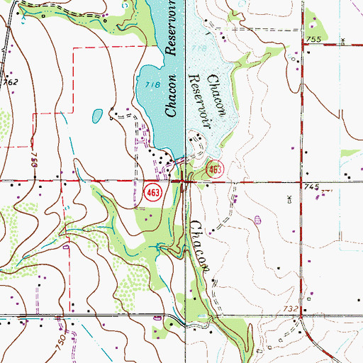 Topographic Map of Chicon Lake, TX