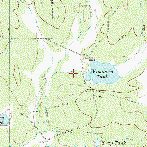 Topographic Map of Quiros Lake, TX