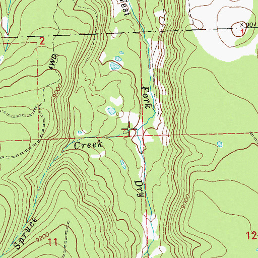 Topographic Map of Spruce Creek, CO