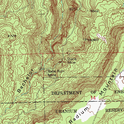 Topographic Map of Diana Mine, CO