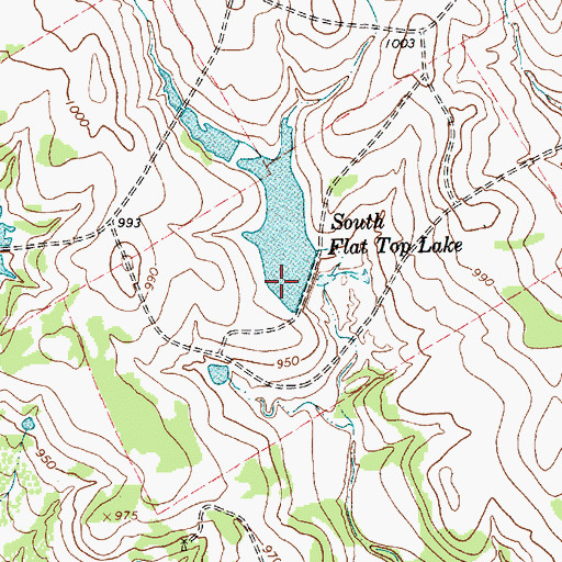 Topographic Map of South Flat Top Dam, TX