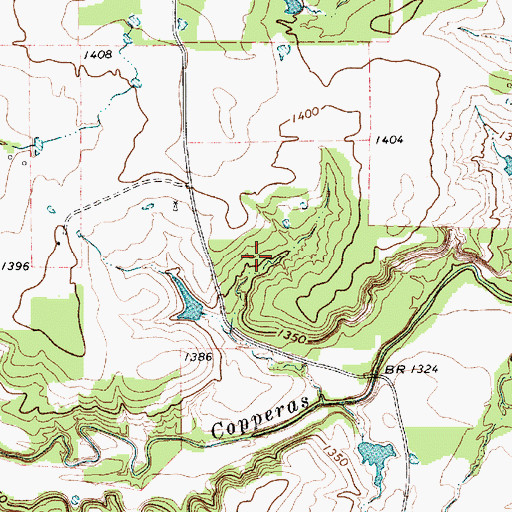 Topographic Map of Bingham Lake, TX