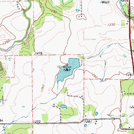 Topographic Map of McGuire Lake, TX