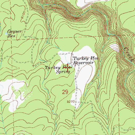 Topographic Map of Turkey Plot Spring, CO