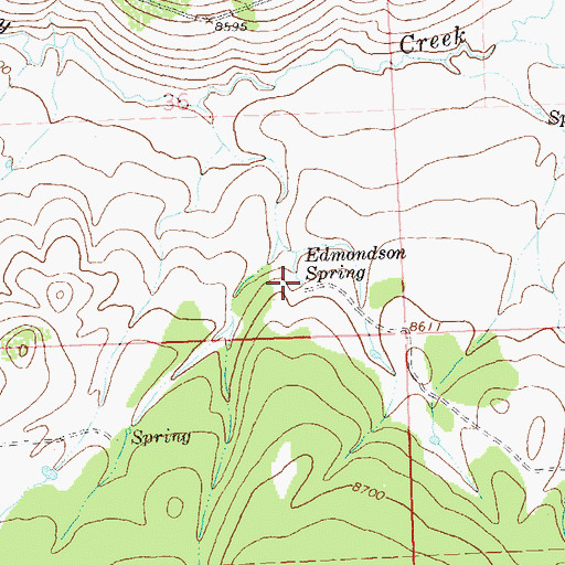 Topographic Map of Edmondson Spring, CO