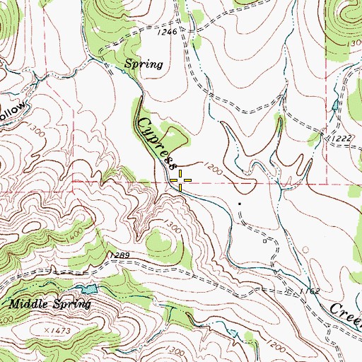 Topographic Map of New Langford Lake Dam, TX