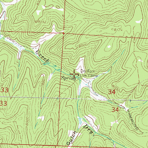 Topographic Map of Dry Fork Cow Camp, CO