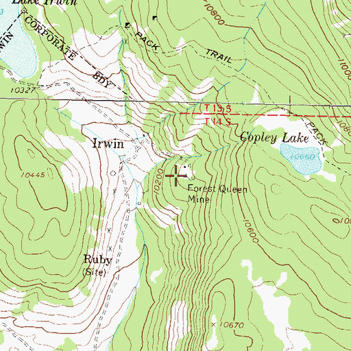 Topographic Map of Forest Queen Mine, CO