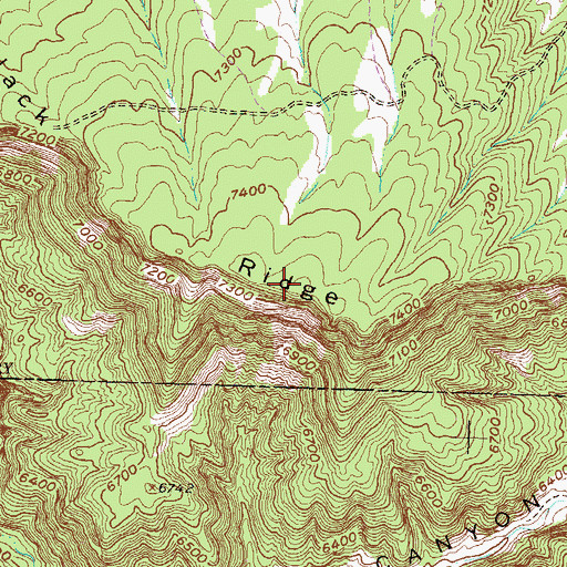 Topographic Map of Black Ridge, CO