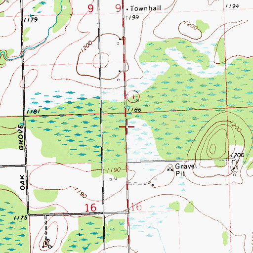 Topographic Map of Grow Townhall, WI