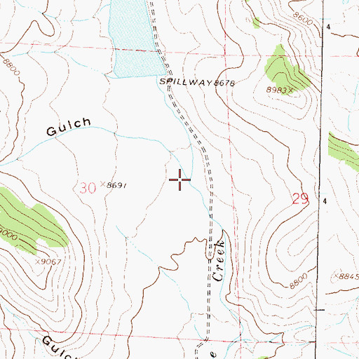 Topographic Map of Baler Gulch, CO