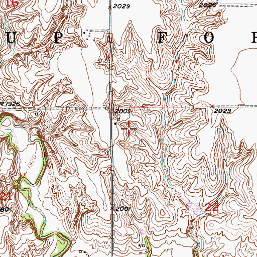 Topographic Map of Township of Loup Fork, NE