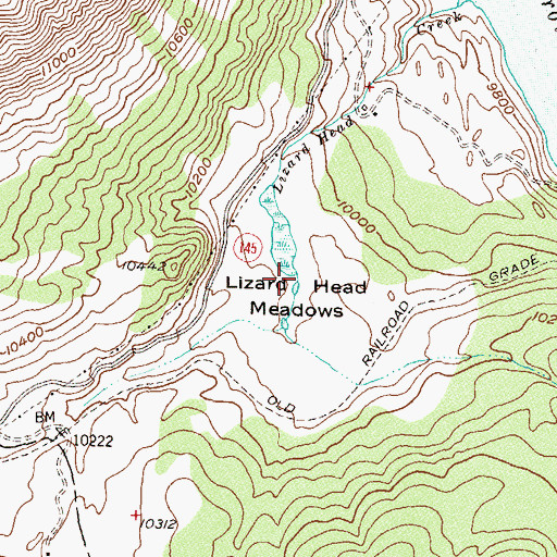 Topographic Map of Lizard Head Meadows, CO