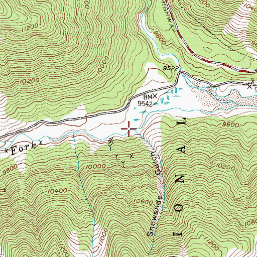 Topographic Map of Snowslide Gulch, CO