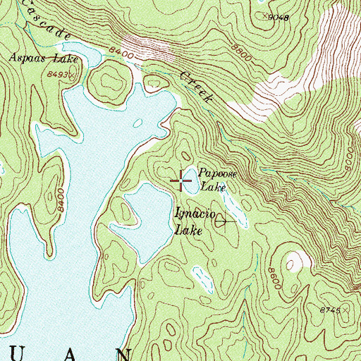Topographic Map of Papoose Lake, CO