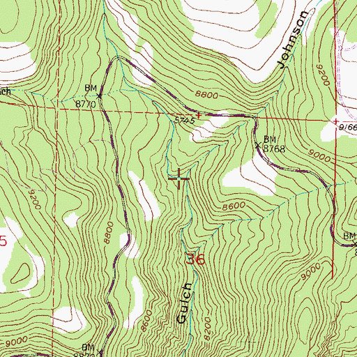 Topographic Map of Johnson Gulch, CO