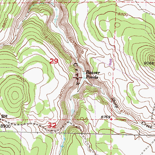 Topographic Map of Sheep Creek, CO