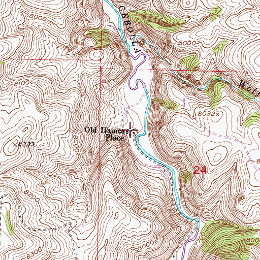 Topographic Map of Old Haines Place, CO