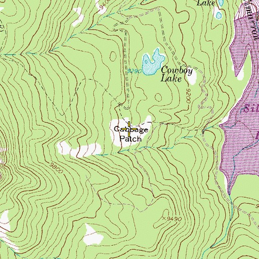 Topographic Map of Cabbage Patch, CO