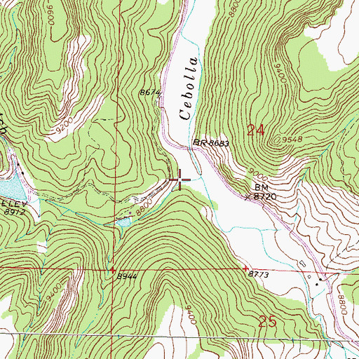 Topographic Map of Fish Canyon, CO