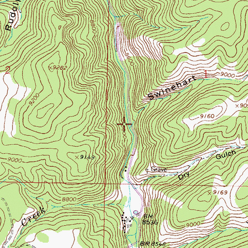 Topographic Map of Swinehart Gulch, CO
