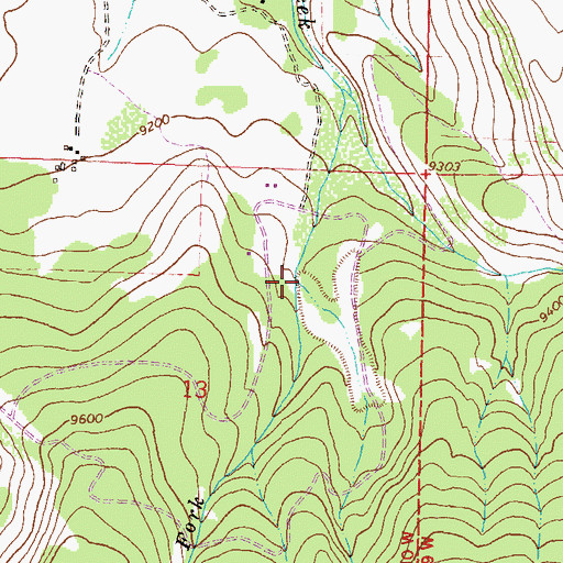 Topographic Map of West Fork Leopard Creek, CO