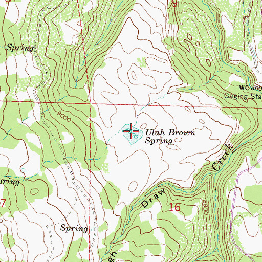 Topographic Map of Ulah Brown Spring, CO
