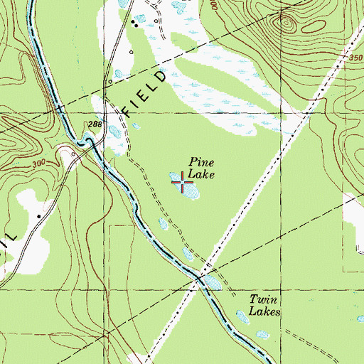 Topographic Map of Pine Lake, TX