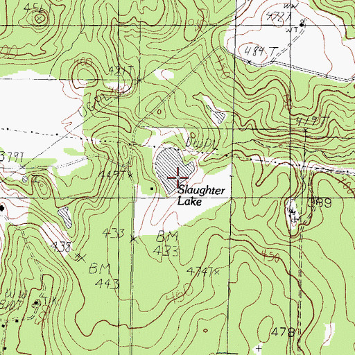Topographic Map of Slaughter Lake, TX