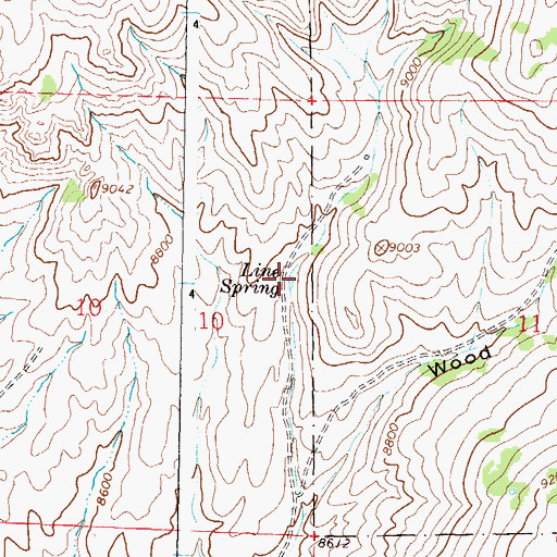Topographic Map of Line Spring, CO
