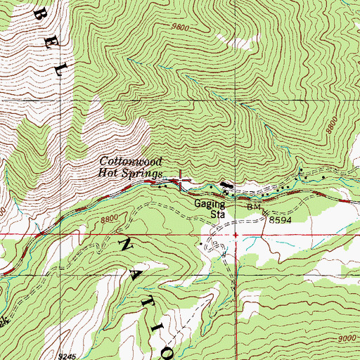 Topographic Map of Cottonwood Hot Springs, CO