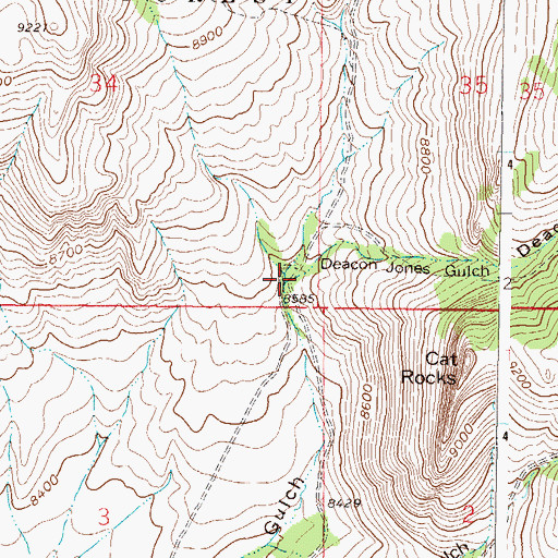 Topographic Map of Deacon Jones Gulch, CO
