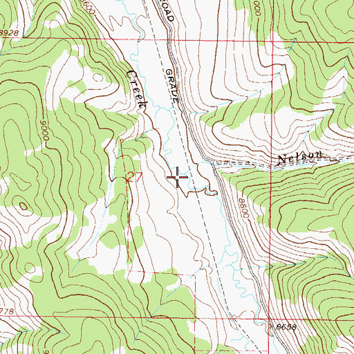 Topographic Map of Nelson Creek, CO