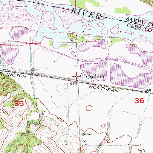 Topographic Map of Cullom, NE