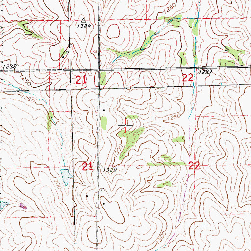 Topographic Map of Township of Rock Creek, NE