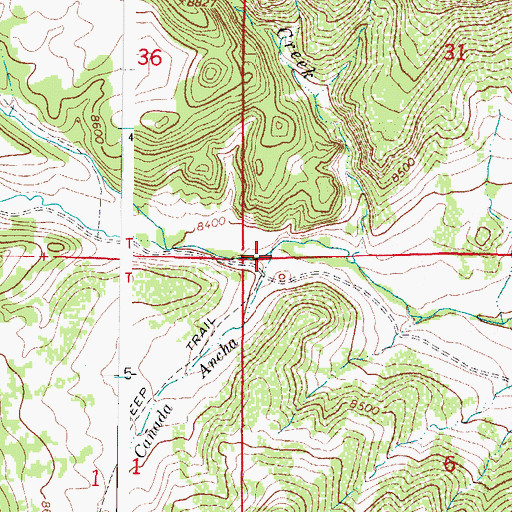 Topographic Map of Caada Ancha, CO
